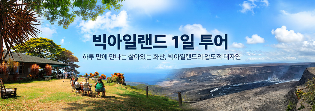 빅아일랜드 투어