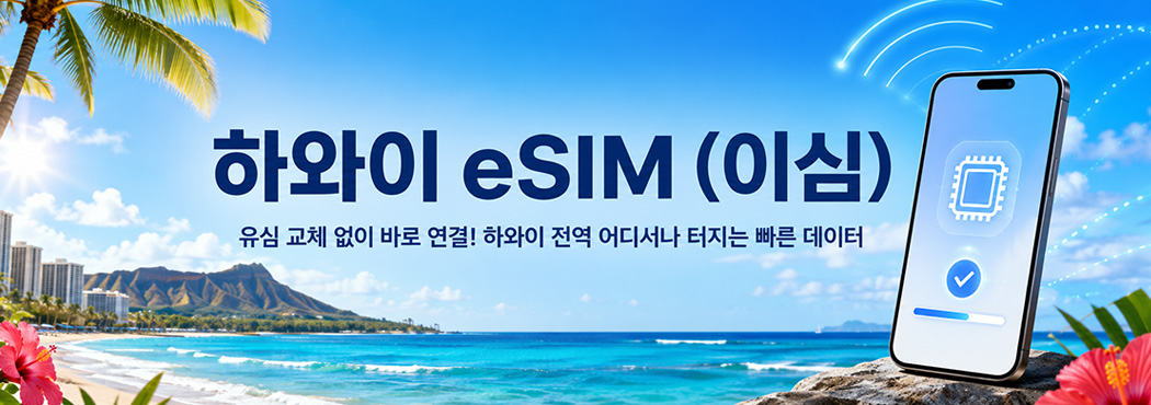 화와이 이심