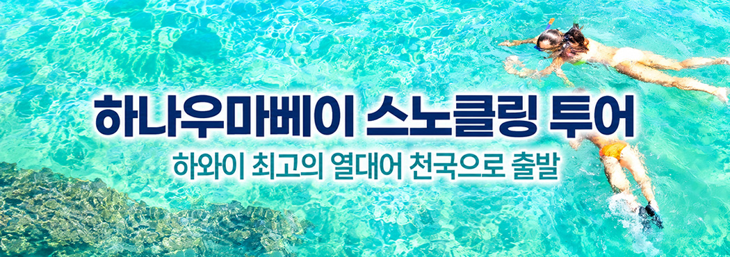 하나우마베이 스노클링