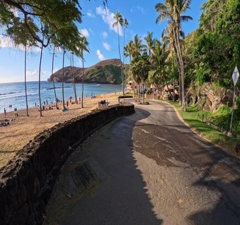 하와이 하나우마베이 스노쿨링 예약 완벽 가이드! 준비물부터 투어까지 