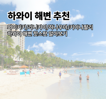 하와이 해변 추천