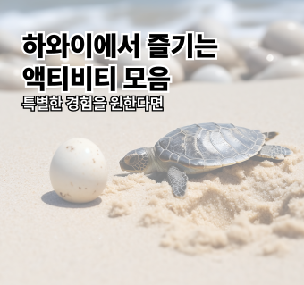 하와이에서 즐기는 액티비티 모음