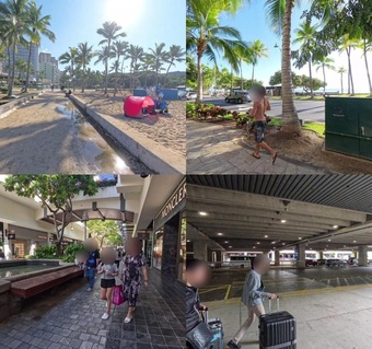 하와이 빅아일랜드 프라이빗 투어 후기: 가족 여행에 최적화된 선택은?