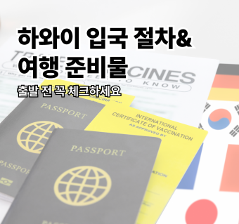 하와이 입국 절차 & 여행 준비물