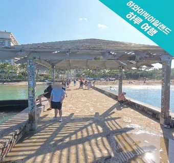 하와이 빅아일랜드 1일 투어로 핵심 명소 완벽 정복하기