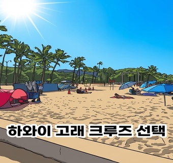 하와이 고래 크루즈 선택 가이드: 대형 선박 vs 소형 보트 완벽 비교