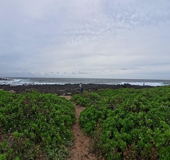 오아후섬 1일 투어 완전 가이드: 와이키키부터 포토스팟까지