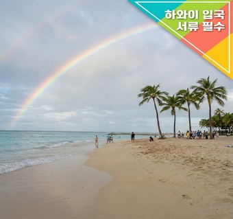 하와이 입국서류 완벽 가이드: 공항에서 막힘없이 통과하는 방법