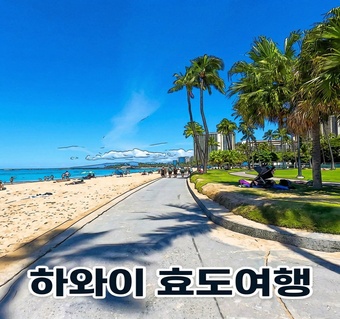 하와이 효도여행, 렌터카 vs 프라이빗 투어 어떤 선택이 부모님께 더 좋을까요?