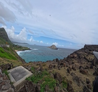 렌터카 없이 하와이 오아후 섬 완전정복! 시티투어로 하루 만에 섬 일주하기