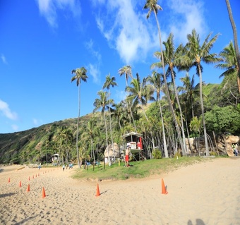 하와이 3박 4일 노스쇼어 드라이브 완벽 가이드