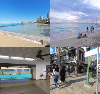 하와이 거북이 스노클링 완벽 가이드: 와이키키에서 만나는 바다거북 명당 스팟