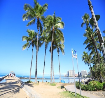 하와이 가족여행 숙소 선택 가이드: 호텔 vs 에어비앤비 완벽 비교