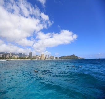 하와이 바다거북 스노클링 완벽 가이드: 호누 만나는 최적 시간과 명당 스팟