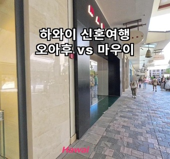 하와이 신혼여행 오아후 vs 마우이, 어느 섬을 선택해야 할까요?
