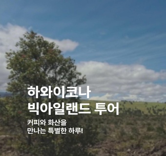 하와이 빅아일랜드 코나 투어 완벽 가이드!  커피농장부터 화산까지 하루에 다 보는 법