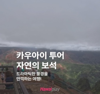 카우아이 섬 투어 완벽 가이드  하와이 이웃섬의 숨겨진 보석을 찾아서