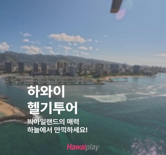 하와이 헬기투어 완벽 가이드: 하늘에서 만나는 화산과 바다의 절경 