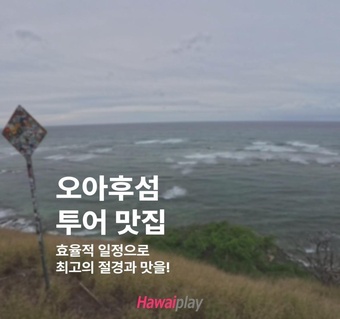 하와이 오아후섬 일일 여행 코스 완벽 가이드