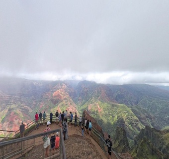 카우아이섬 당일치기, 오아후에서 정말 가능할까? 실제 투어 체험 후기