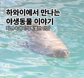 하와이에서 만나는 야생동물 이야기