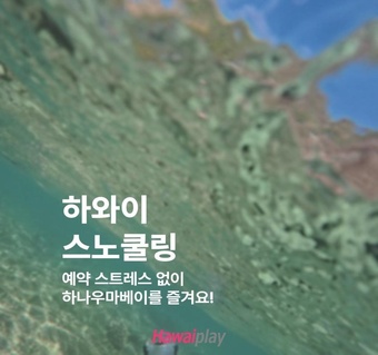 하와이 스노클링 예약 스트레스 끝! 하나우마베이 셔틀 서비스 완벽 가이드 ️
