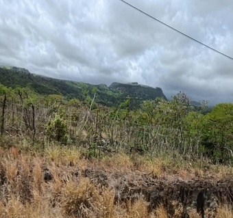 하와이 빅아일랜드 화산투어 완벽 가이드: 오아후에서 당일치기로 떠나는 화산 국립공원 여행