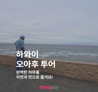 하루 만에 완성하는 오아후섬 완전정복! 와이키키부터 다이아몬드헤드까지 