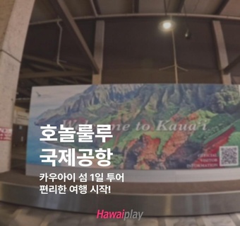 하와이 호놀룰루 공항 완전정복! 와이키키 이동부터 카우아이 섬 투어까지 