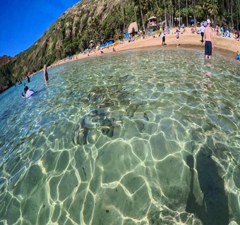 하와이 하나우마베이 스노클링 완벽 가이드: 예약 걱정 없는 셔틀 투어 추천
