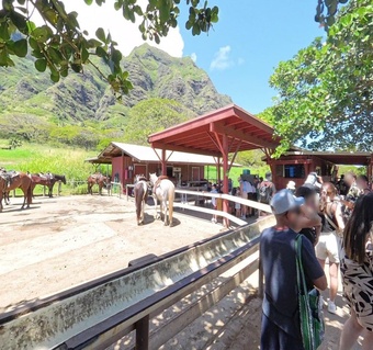 하와이 쿠알로아 랜치 ATV 투어 참여 가이드: 운전면허증부터 복장까지 완벽 준비법