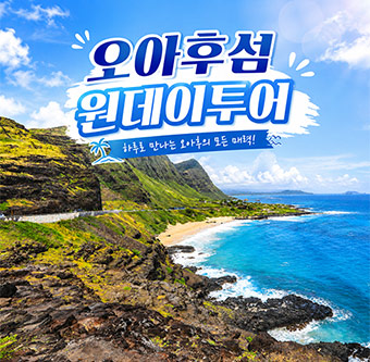 오아후섬 원데이 일주 당일 투어