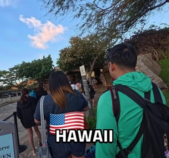 하와이 스노클링 거북이 만나는 확실한 방법과 베스트 스팟 3곳