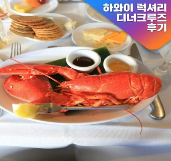 하와이 선셋 크루즈 완벽 가이드: 태평양 위에서 즐기는 럭셔리 디너 크루즈