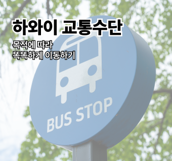 하와이 교통수단