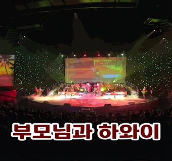 하와이 디너쇼 부모님과 함께! 와이키키 루아우 뷔페 완벽 가이드