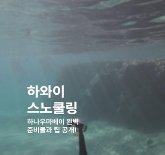 하나우마베이 스노클링 완벽 가이드: 준비물부터 투어 팁까지
