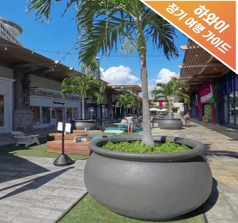 하와이 장기거주 비용과 가족 안전지역 완벽 가이드