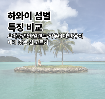 하와이 섬별 특징 비교