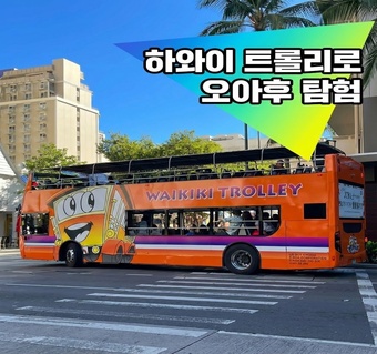 하와이 트롤리로 오아후 섬 완벽 탐방 가이드 - 렌터카 없이도 주요 명소 모두 둘러보기